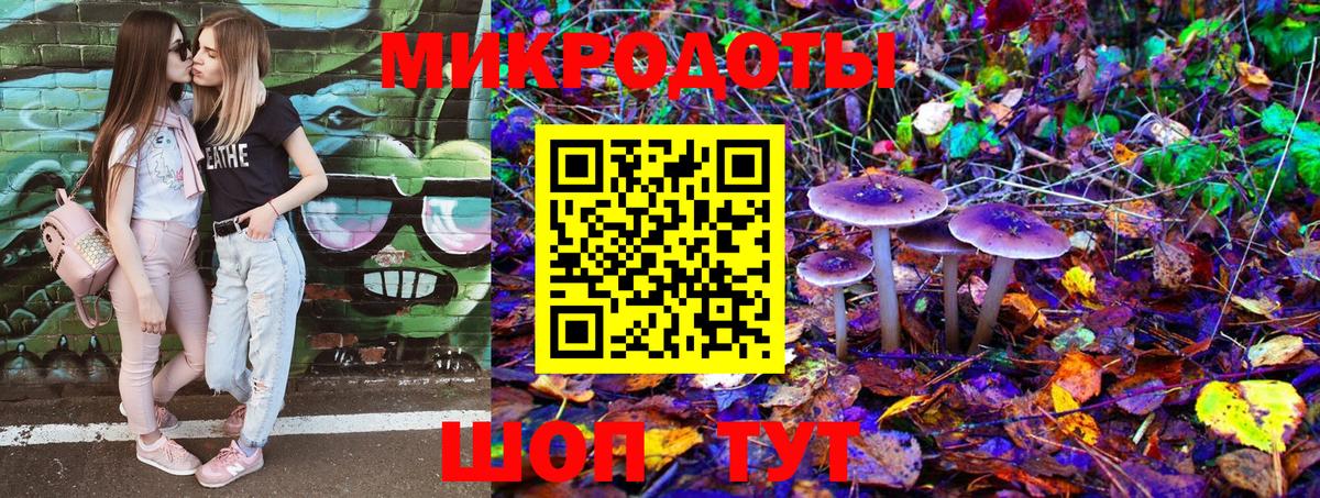 Псилоцибиновые грибы Psilocybine cubensis Таганрог